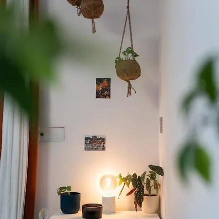 Small Cozy Flat With Balcony & Private Parking